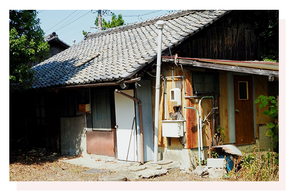 所有者不明土地問題